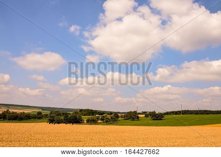 View Of Cultivated Field In The Countryside