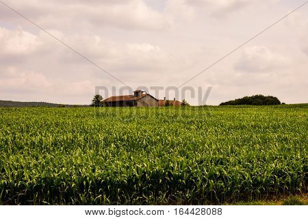 View Of Cultivated Field In The Countryside