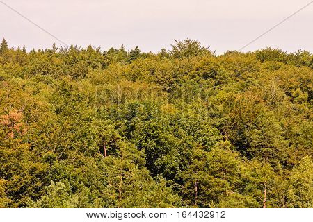 View Of Cultivated Field In The Countryside