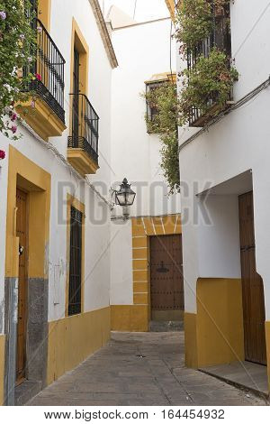 Cordoba (Andalucia Spain): old typical street in the Juderia with plants and flowers