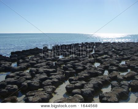 Rocks And Ocean