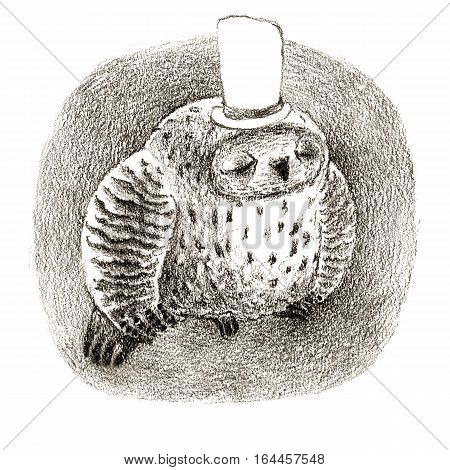 Sleeping great grey owl wearing a white top hat. Isolated on white. Original high resolution graphic artwork.