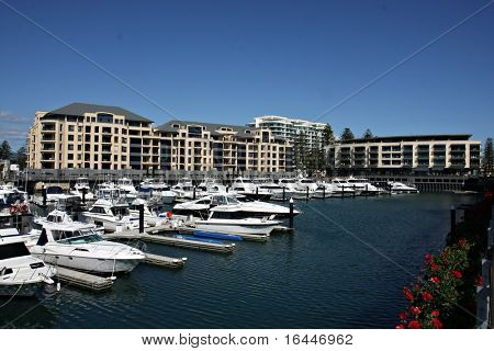 Bright yellow flowers and marina in Glenelg - Adelaide