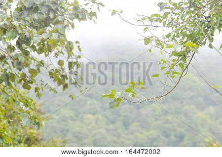 fog and fresh air on the mountain nature background