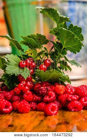 the harvest of red raspberries with a branch of ripe red currant. crop of red raspberries on a wooden table. picked redcurrants. autumn harvest of red currant.