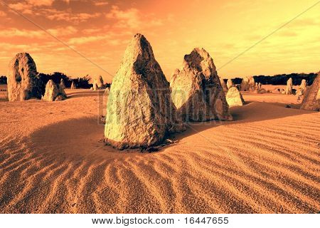Pinnacoli a prima luce - parco nazionale di Numbung, Western Australia