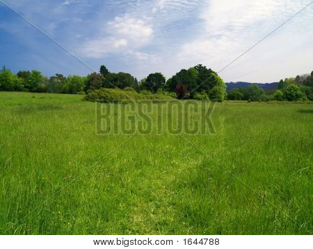 Green Valley