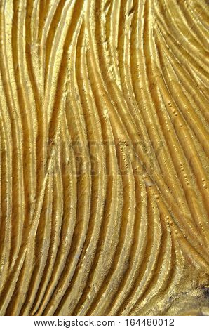 Gloden Curve lining background pattern and texture