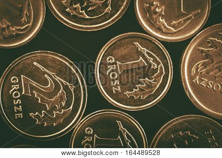 Polish Currency Coins. Polish Zloty Golden Grosze Coins Macro Photo.