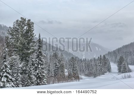 Winter landscape in Sayan mountains in Siberia