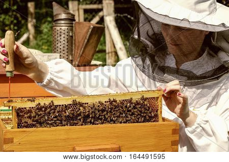 Apiary - woman beekeeper in white worksuite with bees