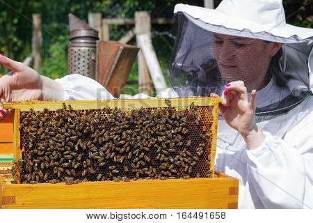Apiary - woman beekeeper in white worksuite with bees
