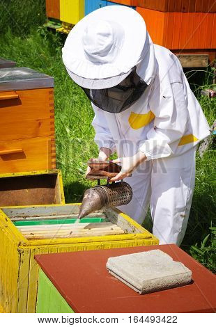 Woman beekeeper in white worksuite with bees