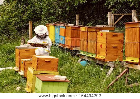Woman beekeper in white suit with bees