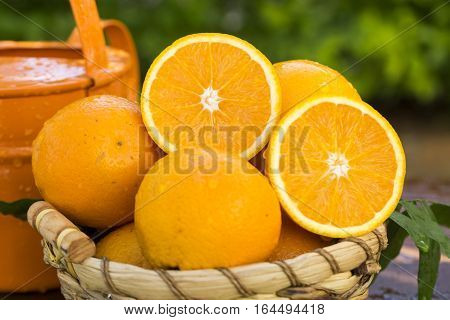Sweet Fresh Oranges In Natural Light On Old Wood