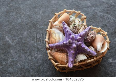 Beautiful colored sea shells on stone background mazarine