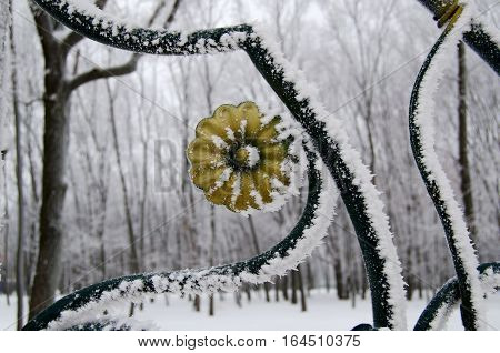 snow-covered garden grill fragment park in the background