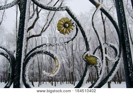 a large fragment of the park fence with hoarfrost