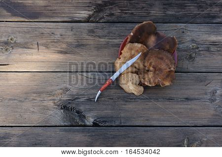 mushrroms and knife in old table .