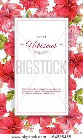 Vector red tea vertical banner with hibiscus flowers on white background. Botanic frame. Design for packaging, tea shop. Can be used as dreeting card and wedding invitation. With place for text