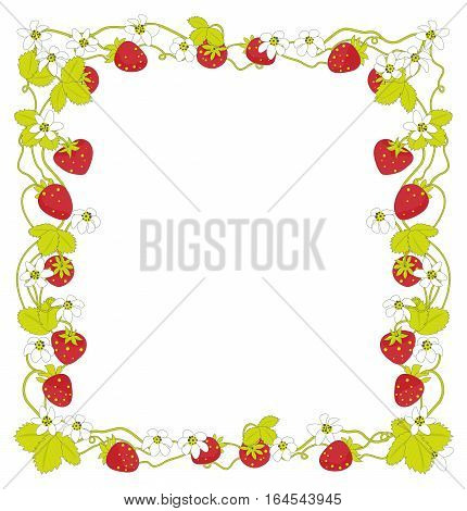 Strawberry, frower square summer frame. Vector illustration