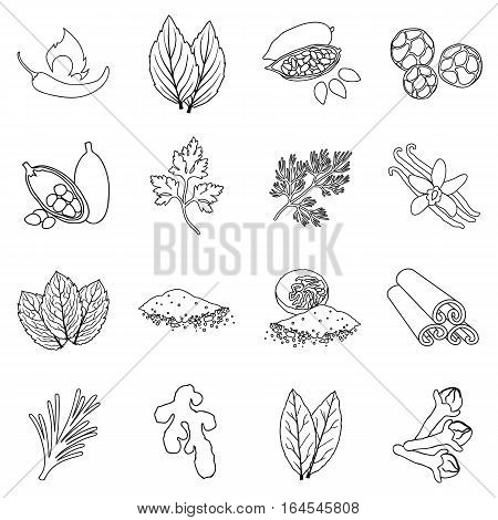 Herb and spices set icons in outline style. Big collection herb and spices vector symbol stock
