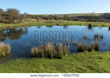 South Downs pond, natural watering hole. Took this shot whilst walking on the South Downs on a bright sunny January Day.