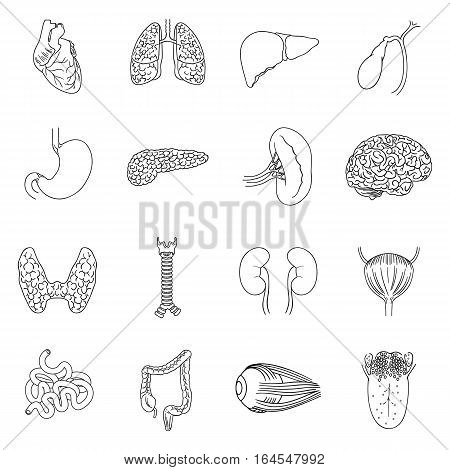 Human organs set icons in outline design. Big collection of human organs vector symbol stock illustration