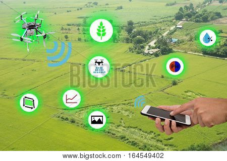 internet of things(industrial agriculture and smart farming concept)farmer use mobile and application to monitorcontrolmanagement the data in the farm from drone technology to improve the yield