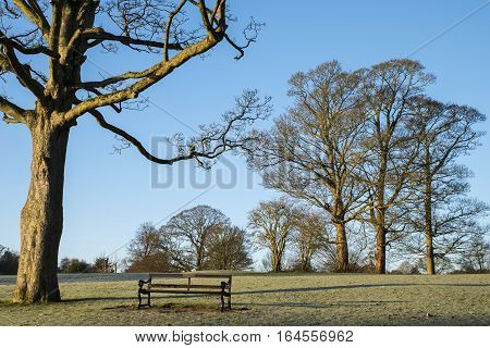 A Winter-time view of the beautiful Verulamium Park in St. Albans UK.