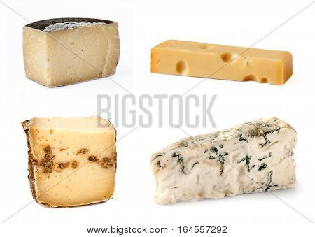 Cheese