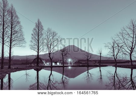 Mountain Fuji in the morning at Fumotopara camping ground Fujinomiya Shizuoka prefecture