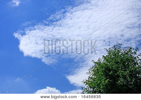 Maravilloso paisaje