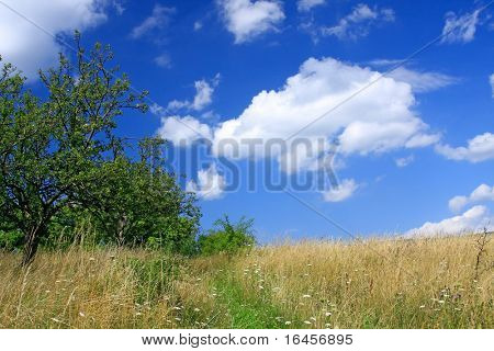 Maravilloso paisaje