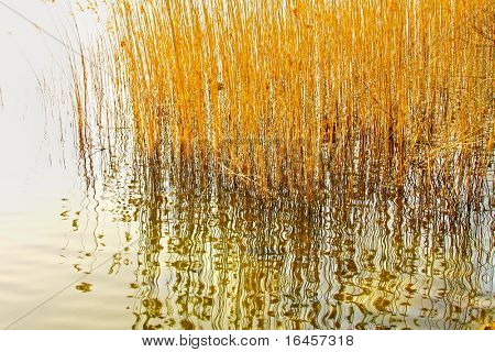 Mondo dell'acqua