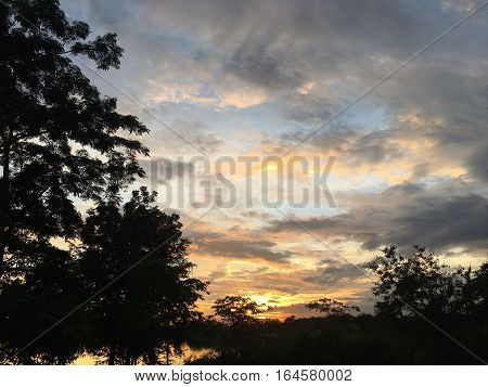 Sunset at natural park silhouette, Beautiful sky background