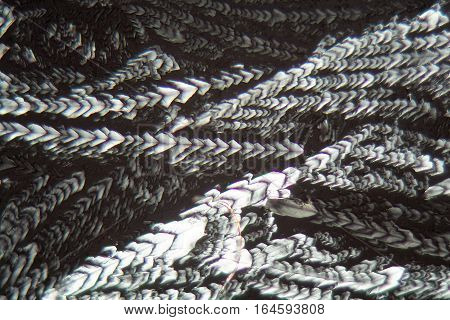 Crystals of Erythritol under the microscope. Erythritol is a sweetener for food.