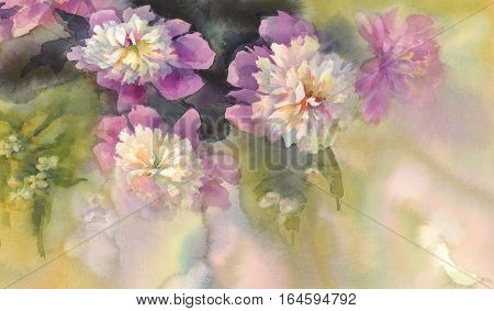 Bouquet of white and pink peonies watercolor illiustration. Wedding card. Summer bloom.