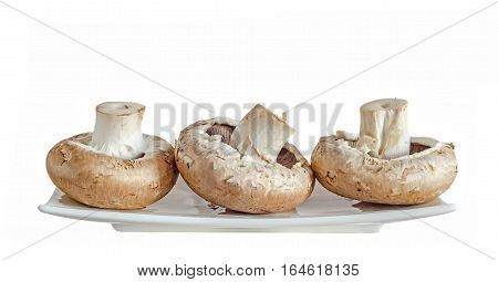Mushrooms Champignon, Agaricus Bisporus On A White Plate, Close Up, White Background.