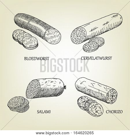 Set of smoked sausages, bloedworst, cervelatwurst, salami and chorizo icons. Vector graphic sketch used for advertising meat products, butcher shop or recipe book design.