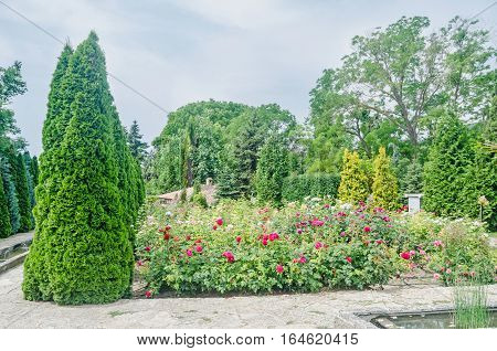Balchik, Bulgaria - June 19, 2016. The Balchik Botanical Garden Of Romanian Queen Marie, Botanic Gar