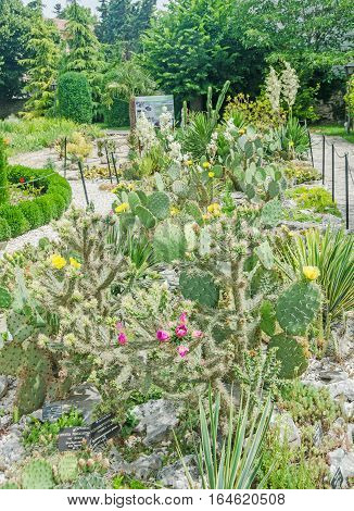 Balchik, Bulgaria - June 19, 2016. The Balchik Botanical Garden Of Romanian Queen Marie, Botanic Gar