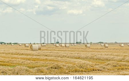 Countryside Field With Hay Bales, Baler, Blue Cloudy Sky.
