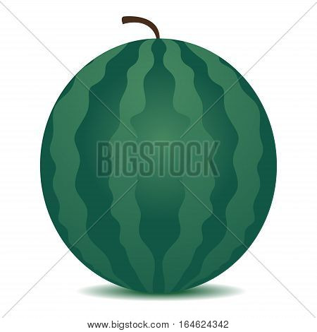 Vector Illustration of a Big Whole Watermelon