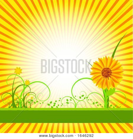 Floral Vector