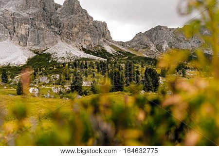 mountains summer green Dolomites alpine traditional alpine life