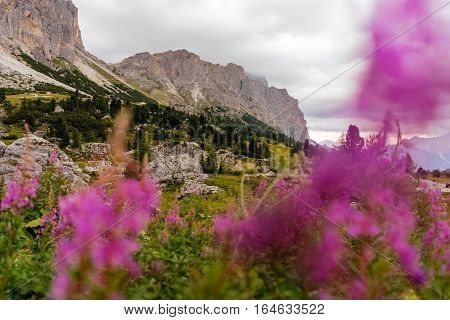 mountains summer green Dolomites alpine traditional alpine life