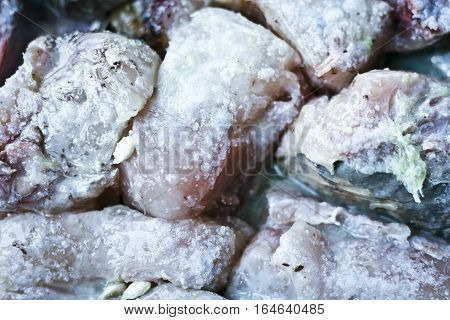 (chapri) Seer Fish : A popular variety of fish.
