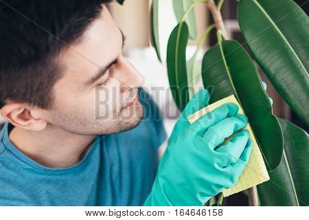 Adult Man Cleaning Pipal In Kitchen