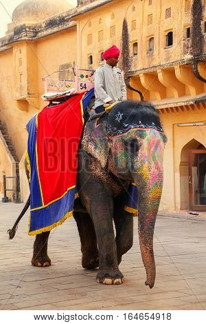 Amber, India - November 13: Unidentified Man Rides Decorated Elephant In Jaleb Chowk In Amber Fort O